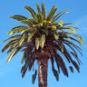 Meet your Posher, Christy